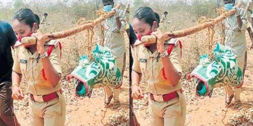 വയോധികന്റെ മൃതദേഹം കാട്ടിനുള്ളിലൂടെ മൂന്ന് കിലോമീറ്റര്‍ ചുമന്ന് വനിത എസ്‌ഐ