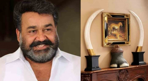 ആനക്കൊമ്പ് കേസില്‍ മോഹന്‍ലാലിനും സര്‍ക്കാരിനും തിരിച്ചടി; ഉടമസ്ഥാവകാശം നല്‍കിയ നടപടി റദ്ദാക്കി